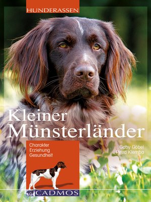 cover image of Kleiner Münsterländer